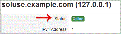 solusvm-status-detail.gif